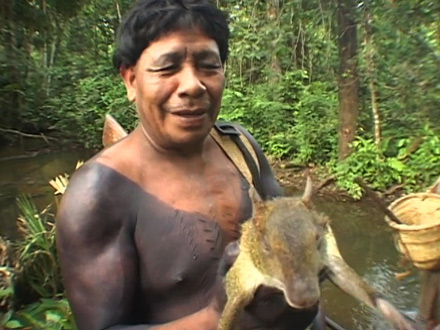 The Agouti's Peanut (2005)