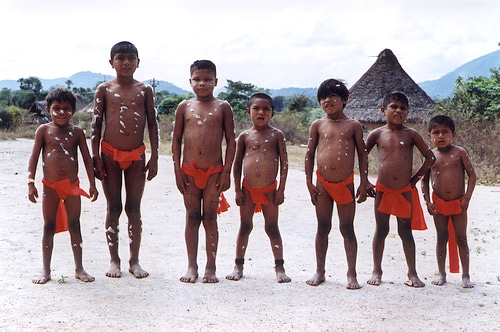 Ajishama, the White Ibis (2003)