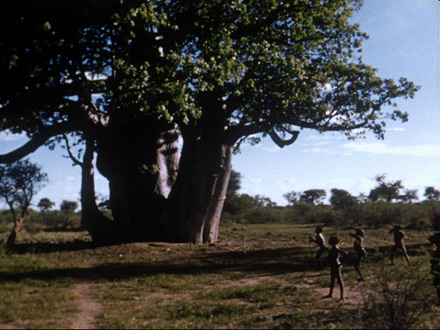 Baobab Play (1974)