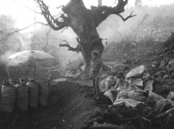 Charcoal-Makers (1990)