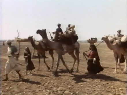 Close Encounters of No Kind (2002)