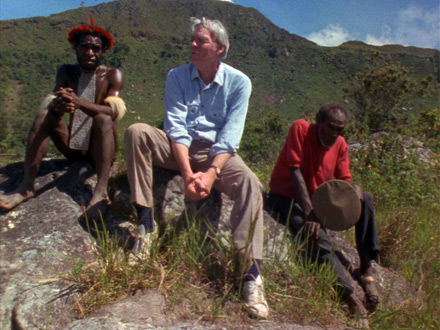 Dead Birds Re-encountered (2013)