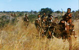 photo of bushmen in the bush