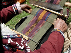 Following the Thread (2021)