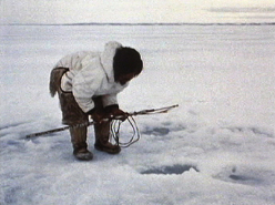 Group Hunting on the Spring Ice (1967)