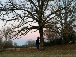 If the Trees Could Talk - Trecia Reavis and Jeff Schmidt