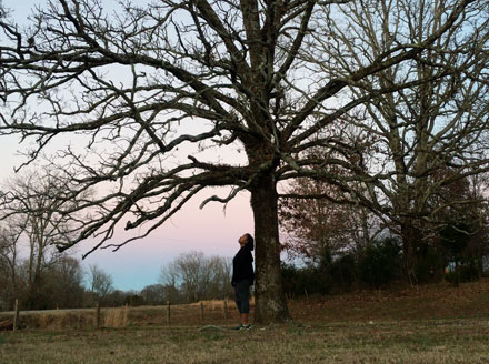 If the Trees Could Talk - Trecia Reavis and Jeff Schmidt