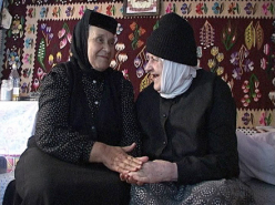 Into the Field (2006)