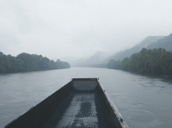 King Coal - Elaine McMillion Sheldon