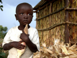 The Last Hunger Season - Roger Thurow