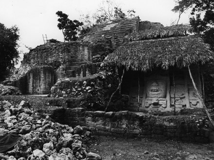 Maya Lords of the Jungle (1981)