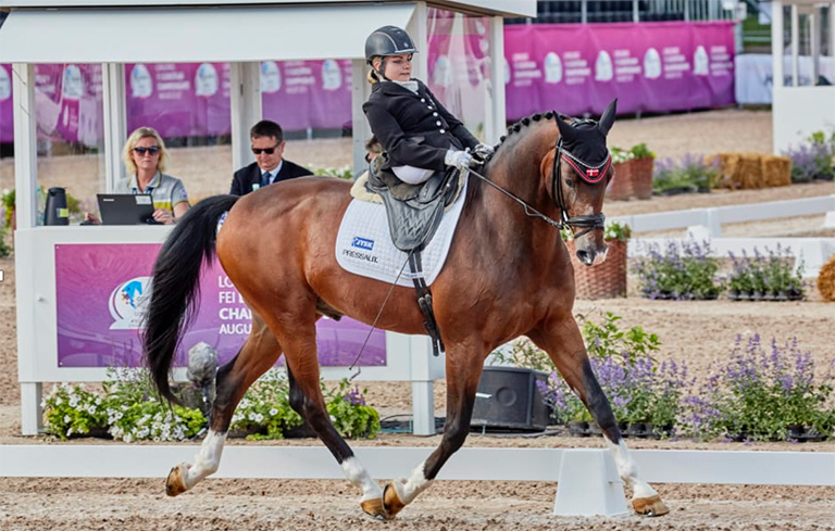 ParaGold - Ron Davis