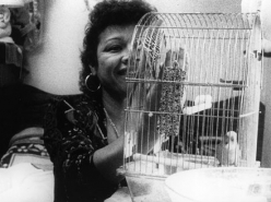 Pepino Mango Nance (1997)