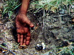 Playing with Scorpions (1972)