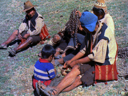 Potato Planters (1974)