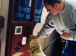 DER Film Prison Pups