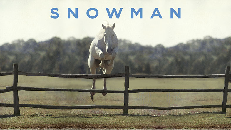 Snowman (Ron Davis, 2016)