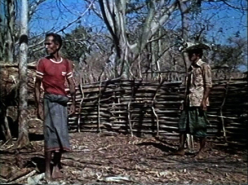 Spear and Sword: a Ceremonial Payment of Bridewealth (1989)