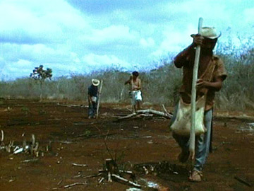 The Living Maya (1985)