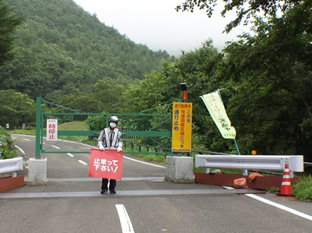 The New Normal - Thorsten Trimpop