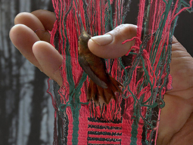 Waaki (Sanctuary) (2019)