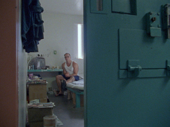 THE WHITE PINE PROJECT - Alex Morelli