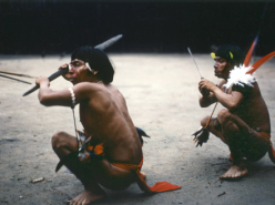 Yanomamö Short Films (1968-1975)